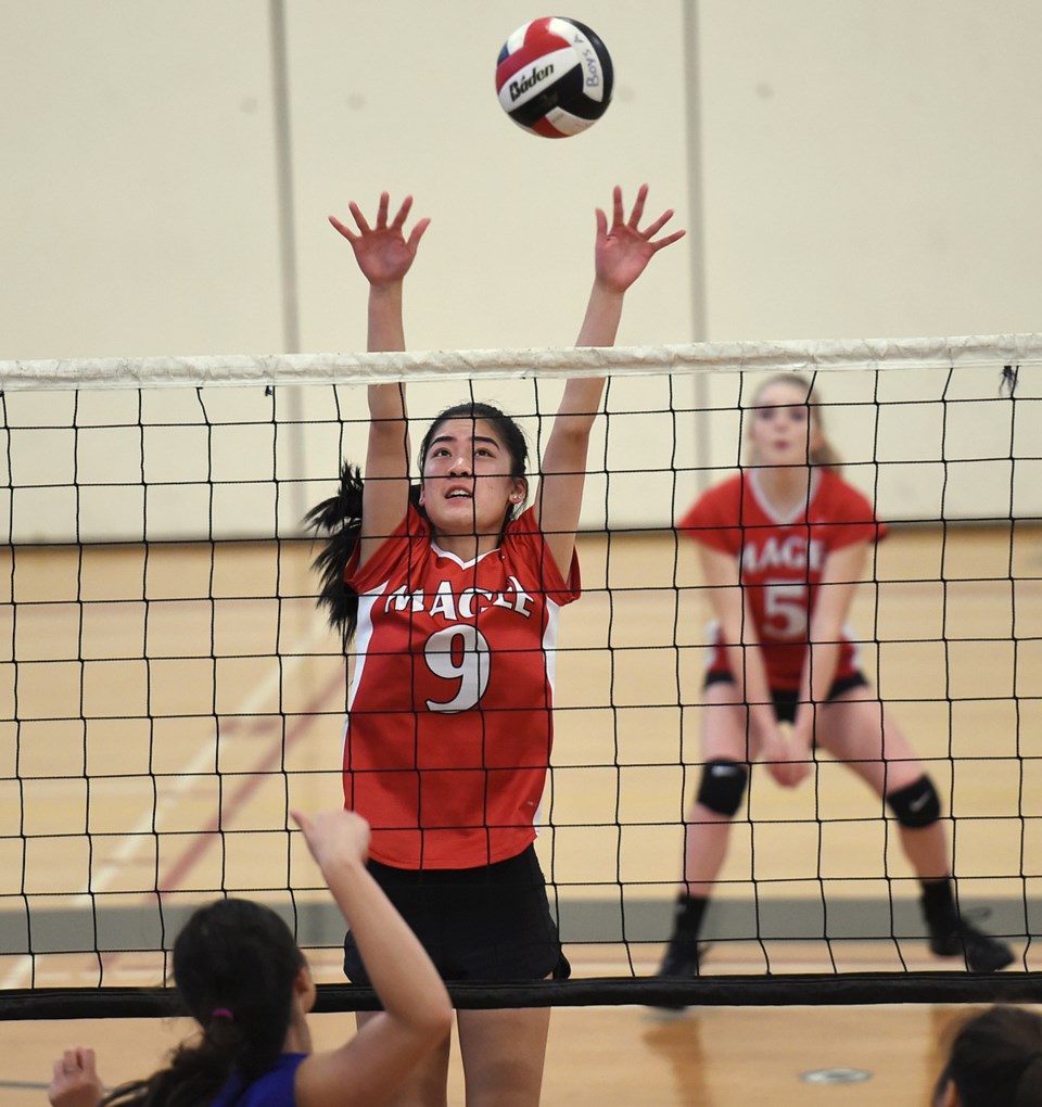 volleyball