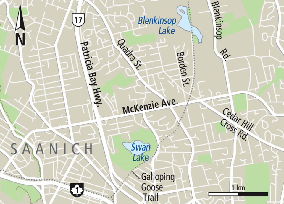 MAP-McKenzie_Pat Bay.jpg