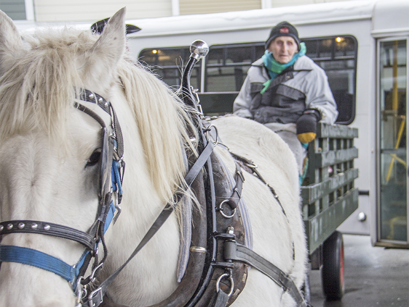 Senior Bob Stutt celebrates 102nd birthday with carriage ride Powell River Peak