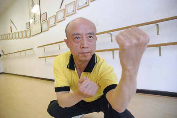 Wushu, Chinese Martial Arts 