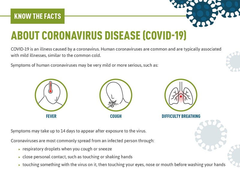 coronavirus factsheet