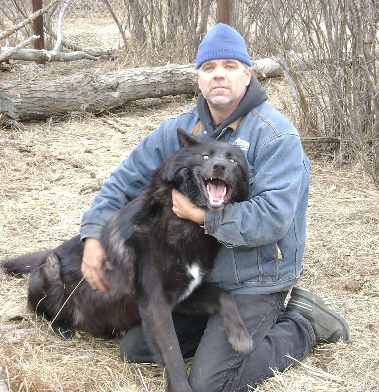 Matt Paproski with his wolf, Timber, in his enclosure in Saskatchewan before moving to Alberta