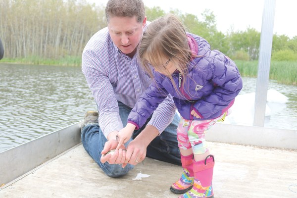 Aron Hershmiller and daughter, Rylee, beging putting the fish in the pond. The Logan Green Fishpond can be enjoyed by people of all ages.