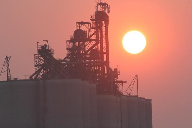 sunset Viterra