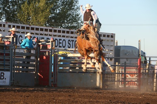 Stock Rodeo Photo