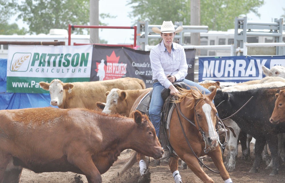 Cutting horse show a big success SaskToday.ca