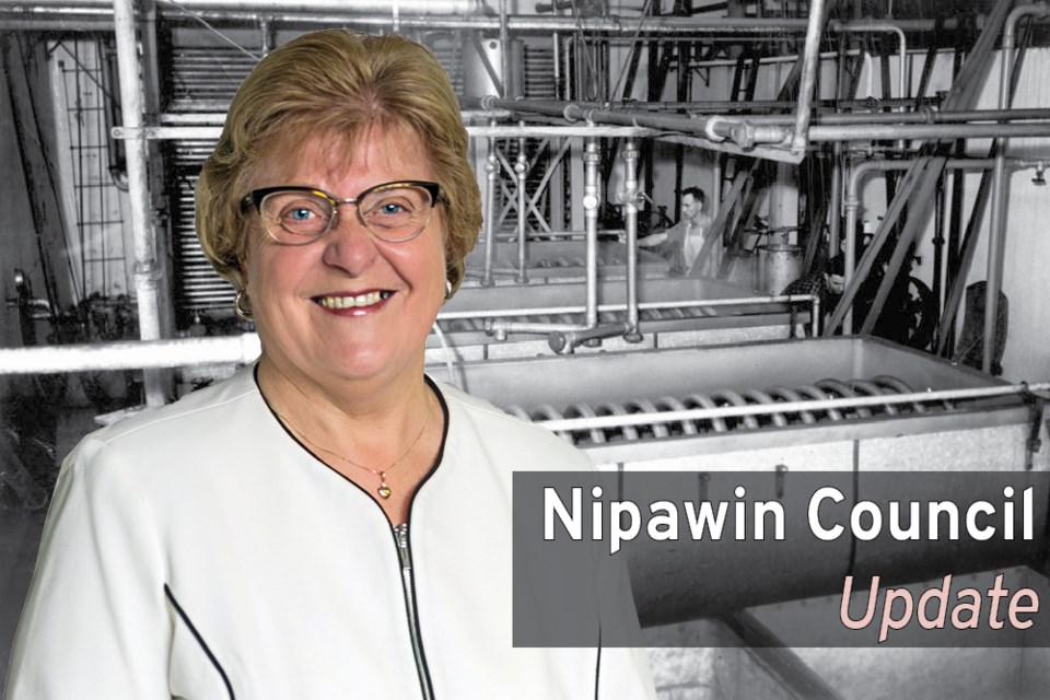 Nipawin Council