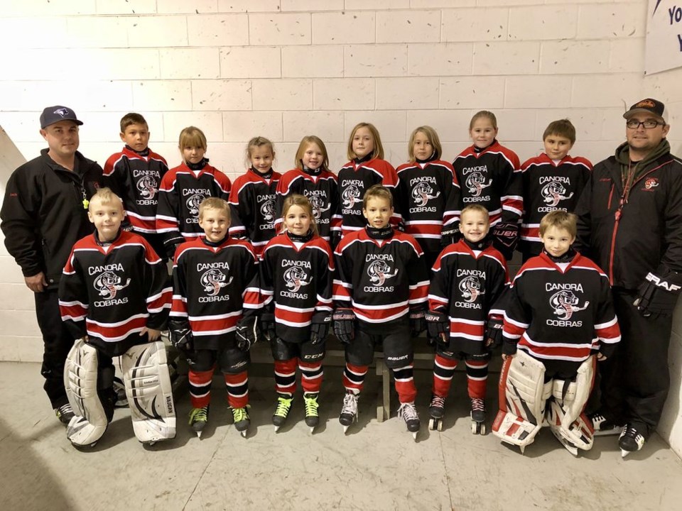 Novice team