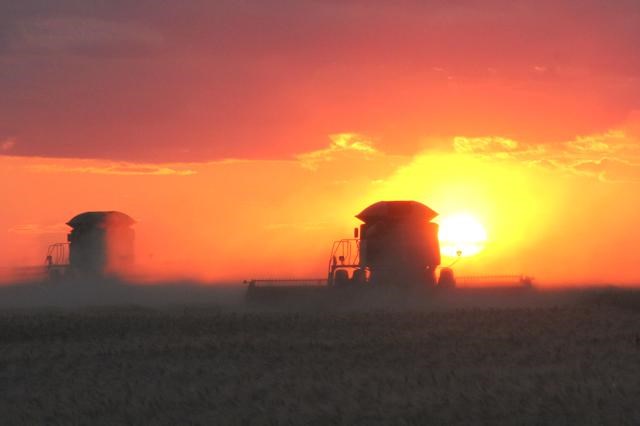 sunset combine