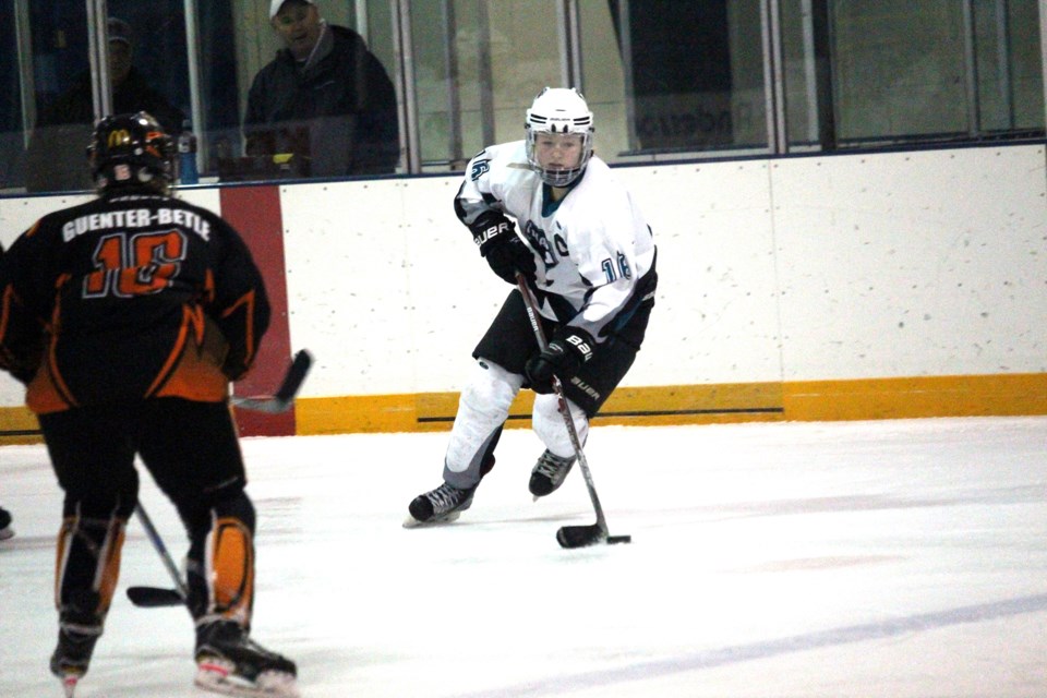 Amson Sharks