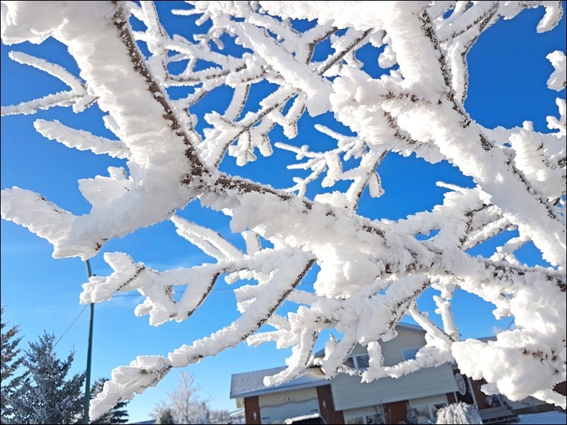 hoar frost