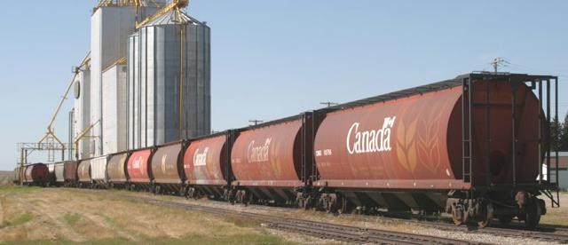 grain train