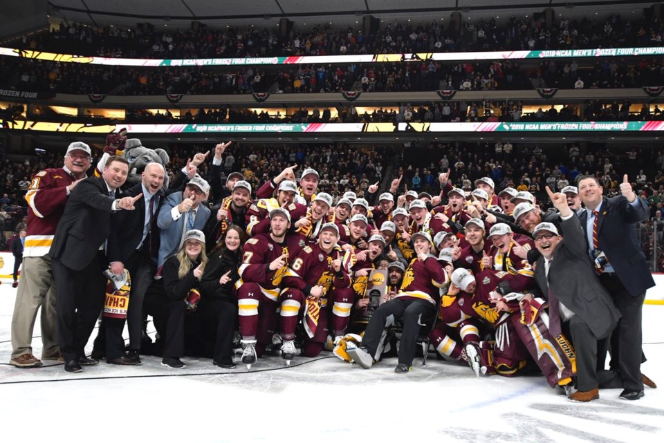 Minnesota-Duluth Bulldogs