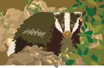 badger