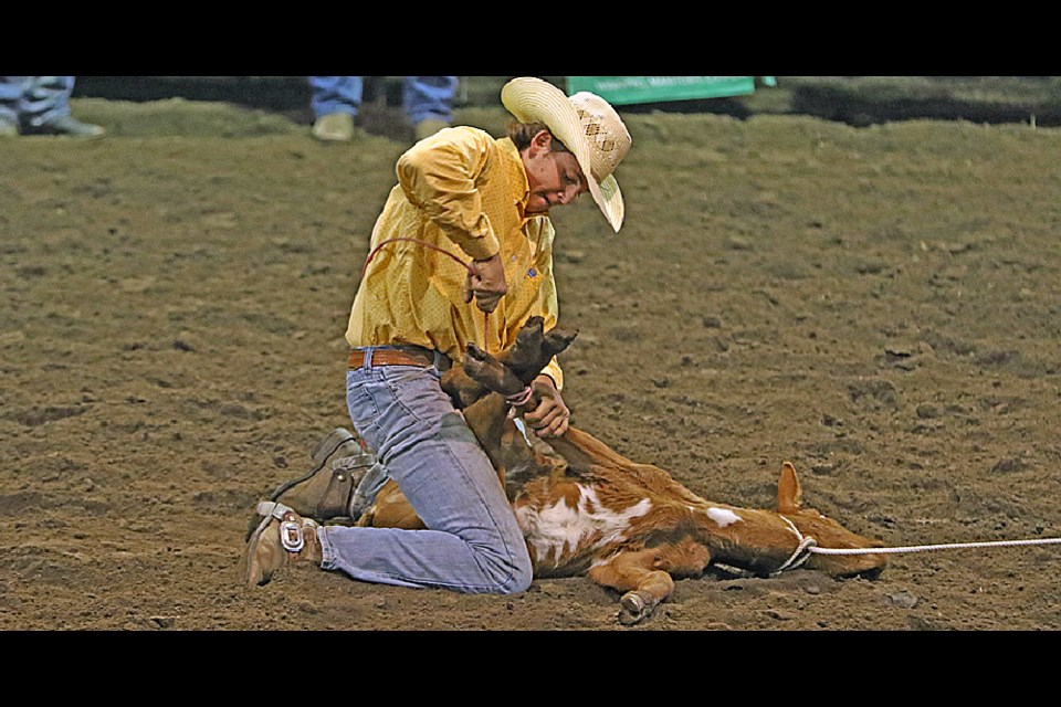 Colter Taylor of Weldon ties down a calf at the Get ’Er Done High School Rodeo in Nipawin. Photo by Devan C. Tasa