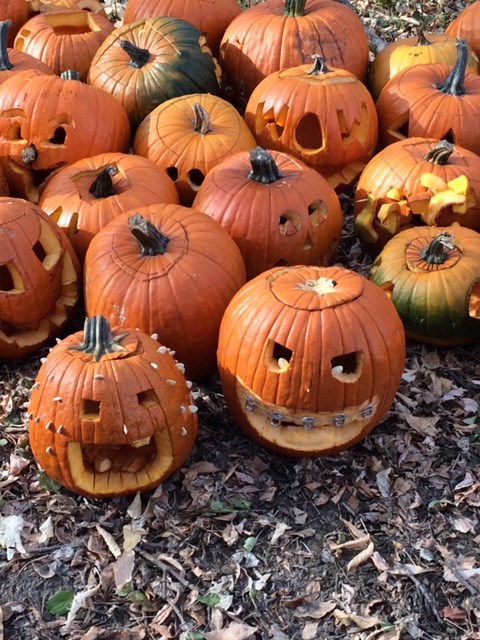 Co-op Pumpkins