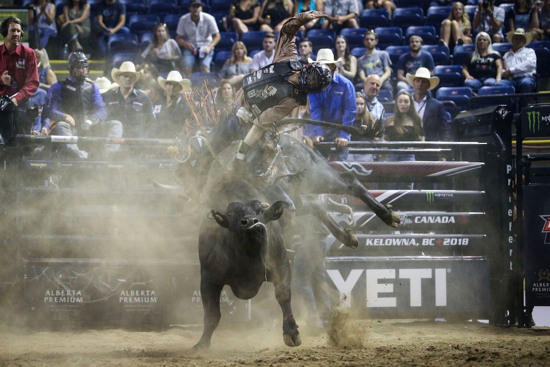 Sports This Week Bull Riding Has Me As A Fan Sasktodayca 7629