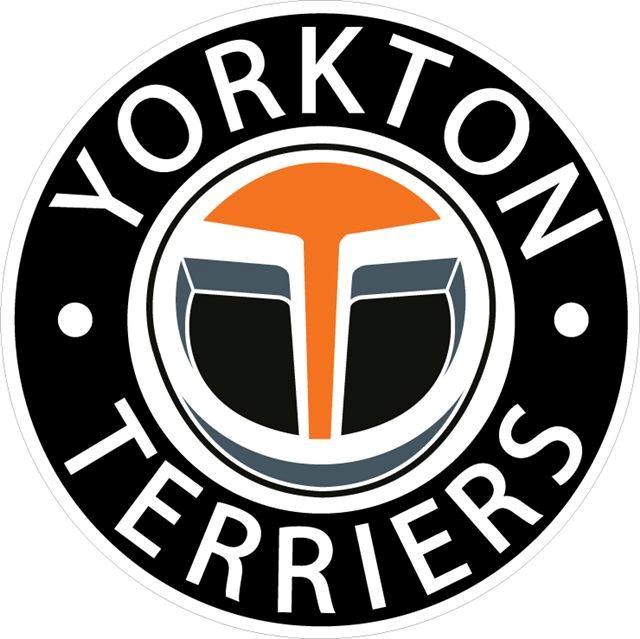 Terrier logo