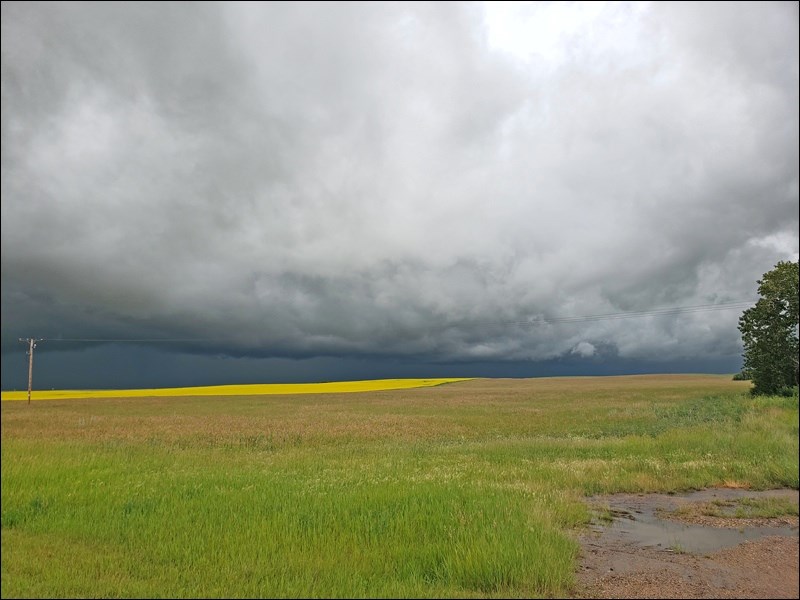 Once upon a time, there was a land of living skies that prayed for rain. Then it came, and it came a