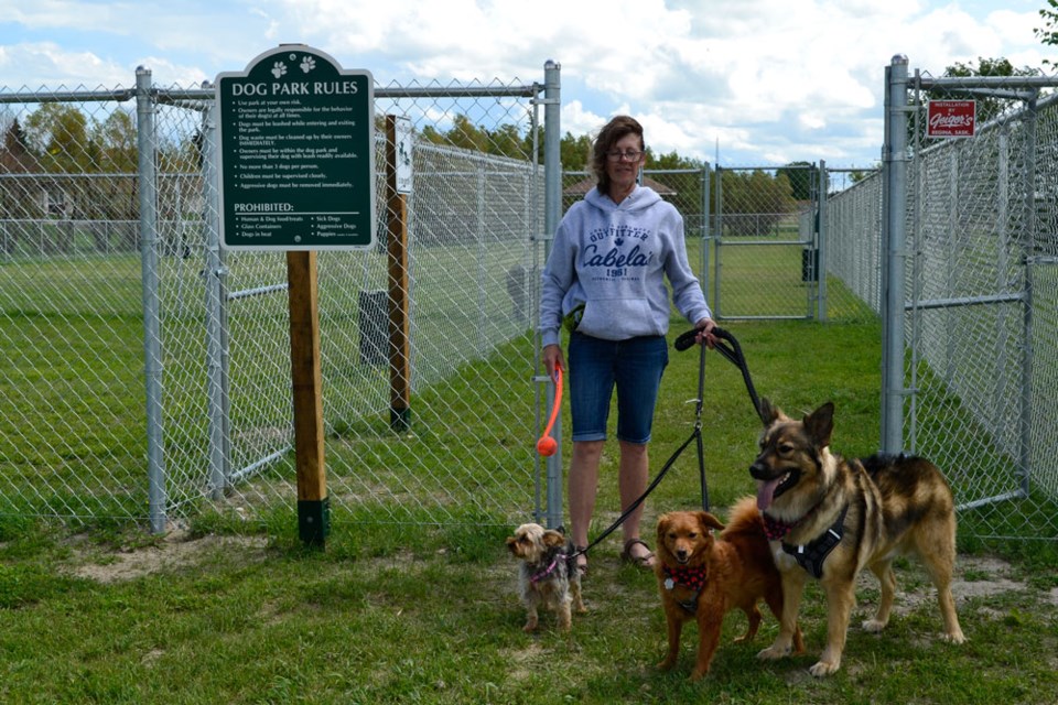 Carlyle Dog Park pic