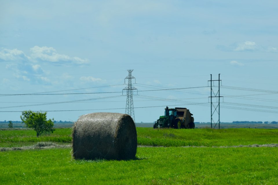 Hay bales