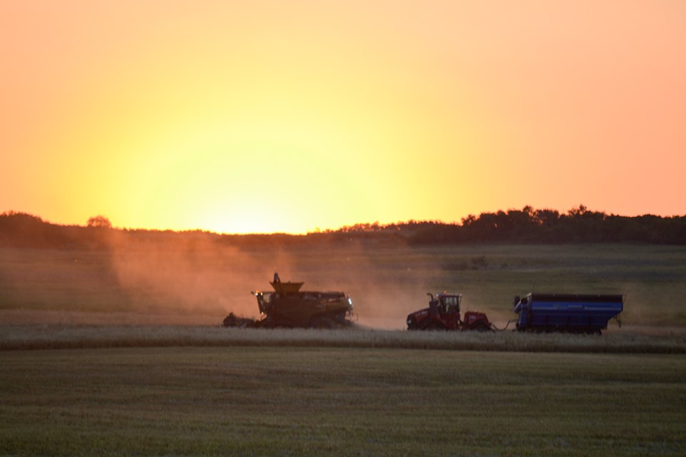 Harvest Time