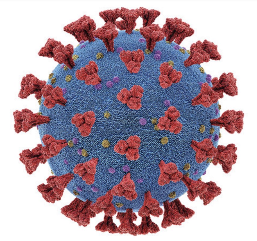 coronavirus