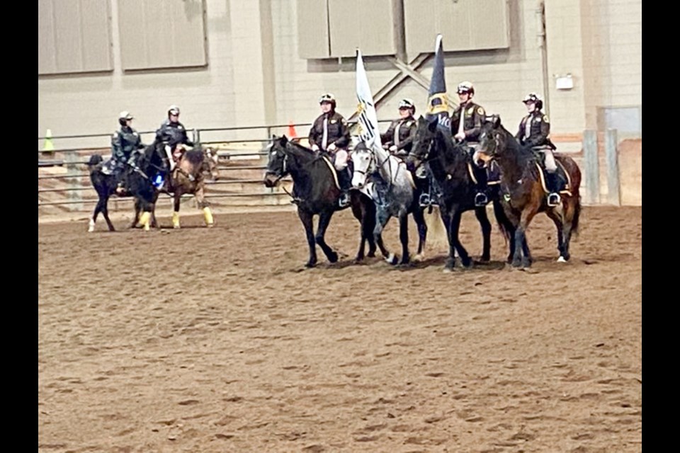 Horse Graduates