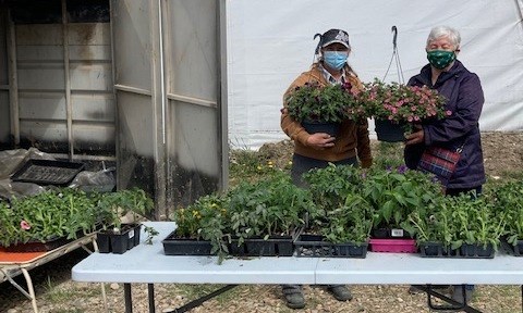 Denise Taylor from Hafford with an excellent variety of plants and local buyer Ellyn Scotton enjoying the warm morning sun at Saturday’s plant sale near Mayfair. Photo by Elaine Woloshyn