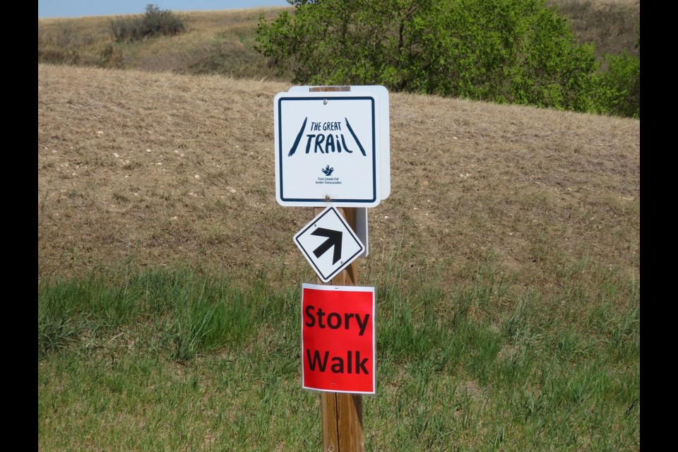 The trail's starting point near the parking lot.