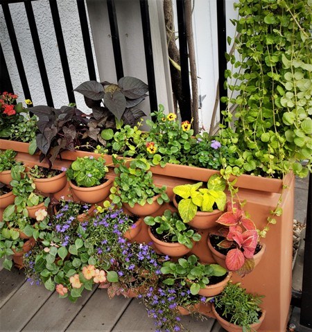 Container gardening