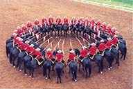 RCMP Musical ride Wawota 2015