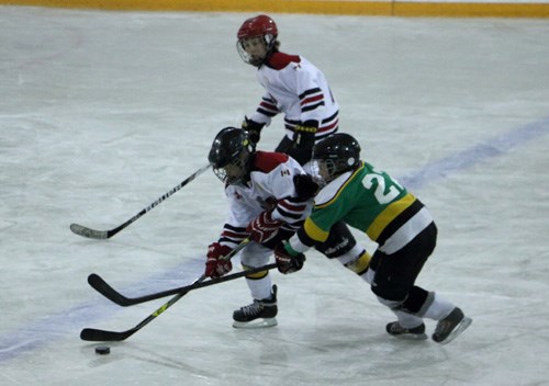 Alameda Minor Hockey Day