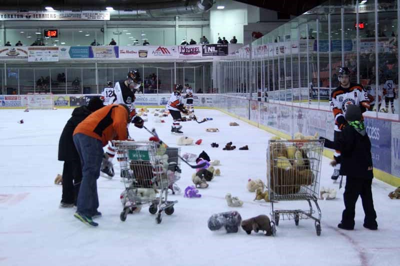 Terrier Teddy Bear Toss