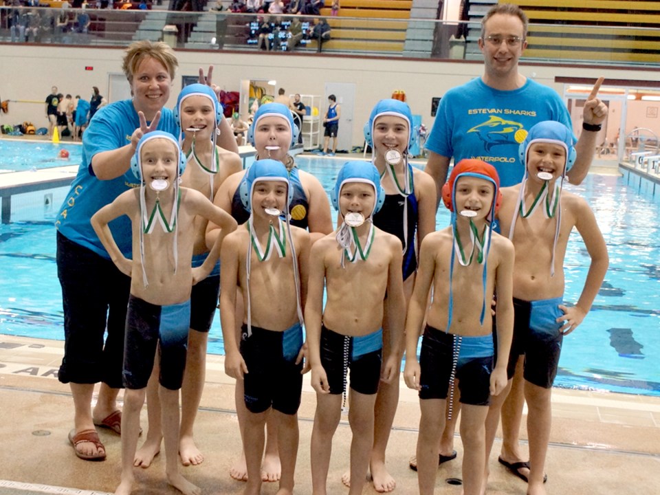 Gold rush in the water for the Estevan Sharks - SaskToday.ca