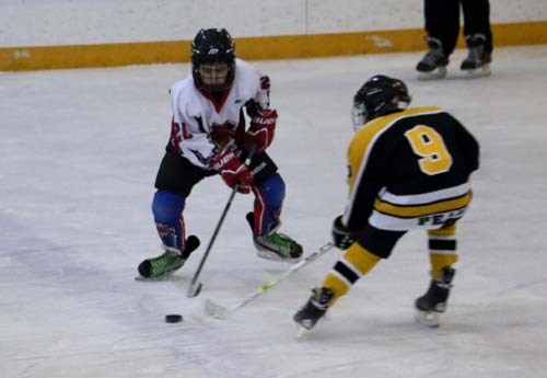 Opposing players duel for the puck.