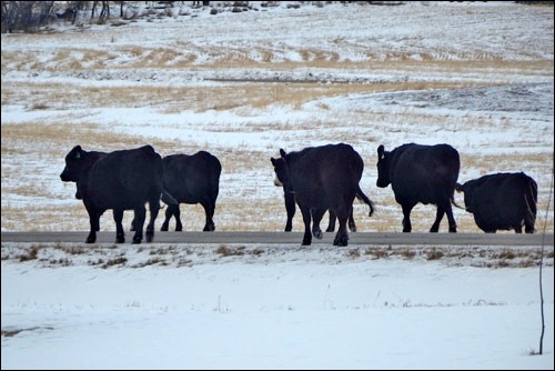 rural scene pic