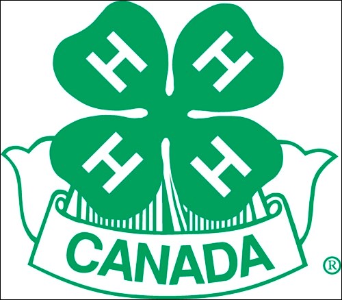 4-H logo