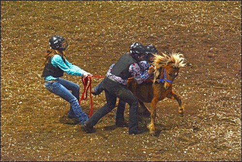 rodeo