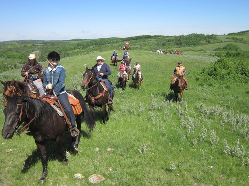 Trail Ride