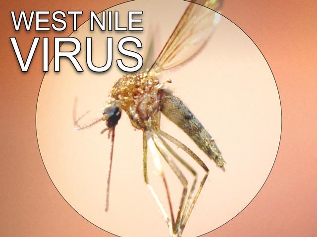 West Nile