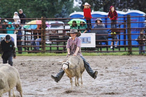 Stoughton Rodeo