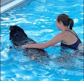 Dogs enjoyed the pooch plunge at the last evening of the pool season. Photos submitted by Sherri Solomko