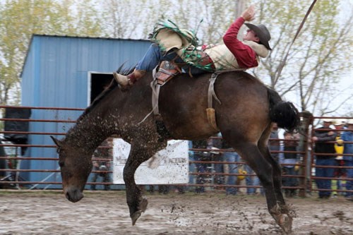 Tate Hartell goes for a ride on Said & Done in the bareback event.