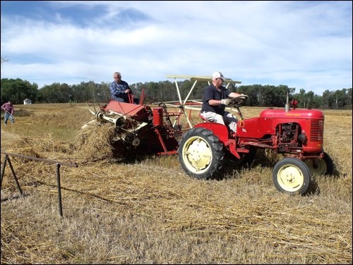 Members of the Borden Threshermen’s Club were busy cutting and stoking wheat for the annual threshing day slated for Saturday. Photos by Lorraine Olinyk