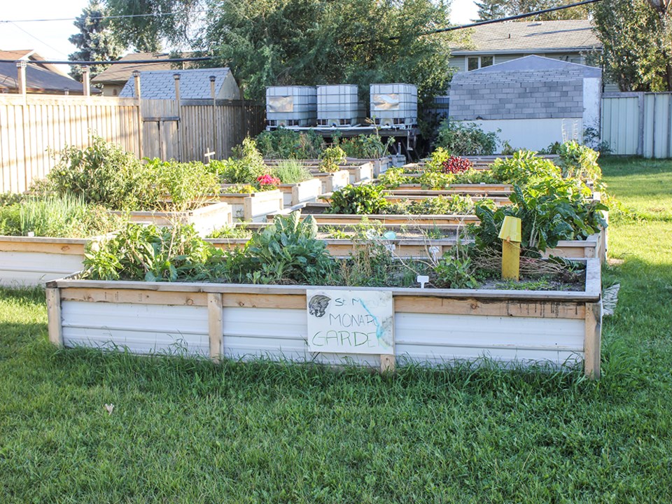 COMMUNITY GARDEN LYND CRESCENT