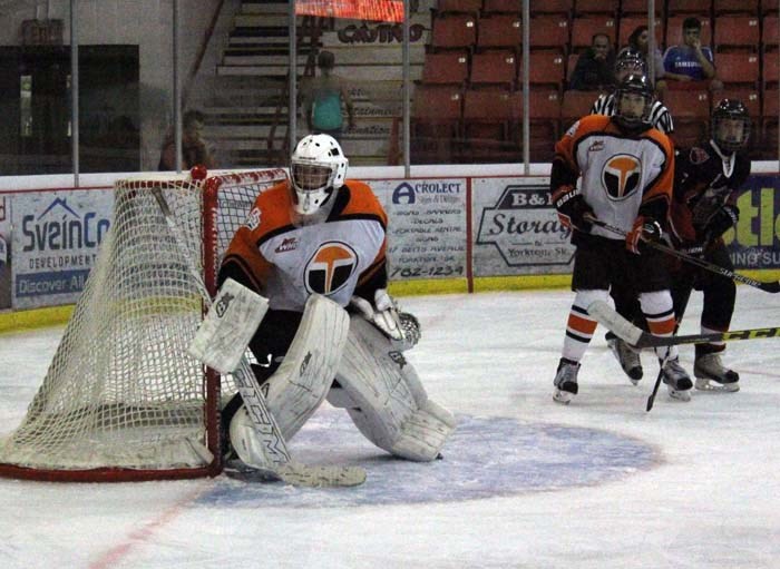 'AA' Bantam Terriers