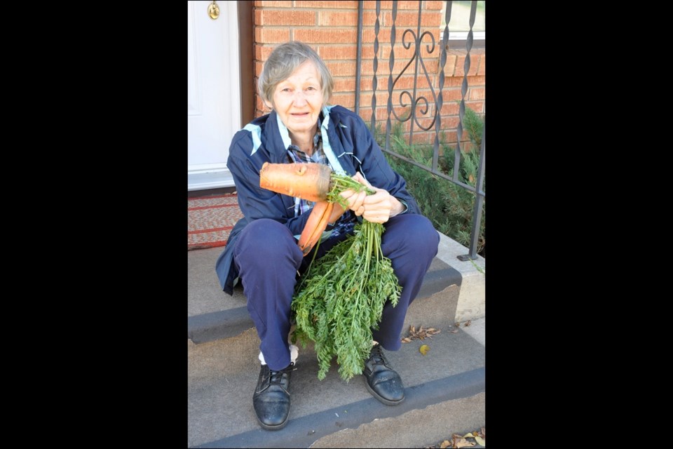 Colossal Carrot —  North Battleford resident Eileen Kozakewich could not wait to tell the News-Optimist about the massive carrot that grew in her back garden.