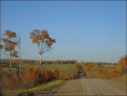 fall rural scene pic