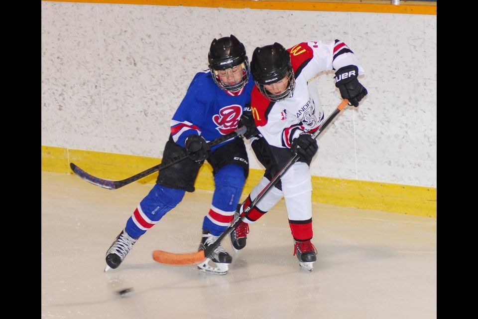 Logan Lewchuk tried to defend the puck even though this Preeceville player used his weight to gain the upper hand.